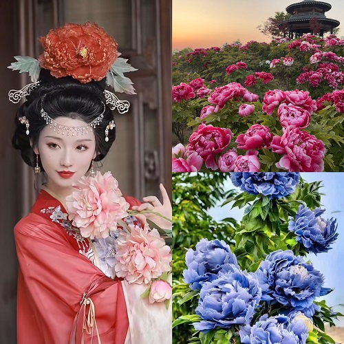 洛阳-龙门石窟-老君山旅游(图2)