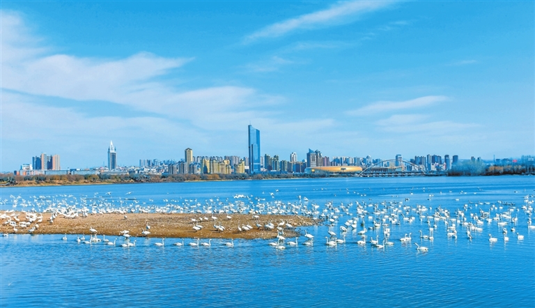 特刊丨文旅繁花 璀璨绽放(图2) 特刊丨文旅繁花 璀璨绽放(图2)