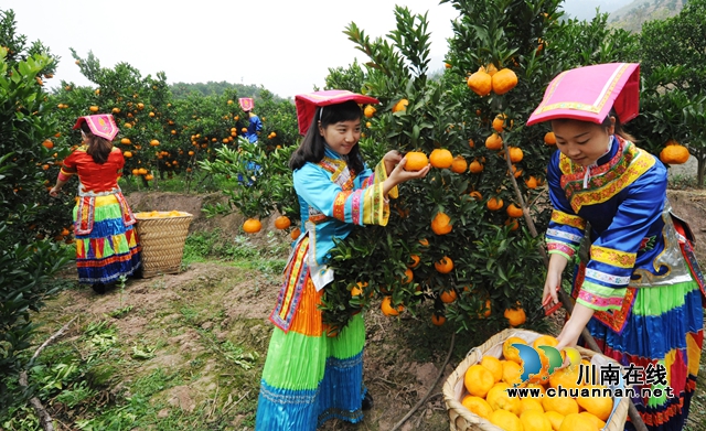 连续三年!古蔺县上榜2024年全国县域旅游发展潜力百佳县(图5) 连续三年!古蔺县上榜2024年全国县域旅游发展潜力百佳县(图5)