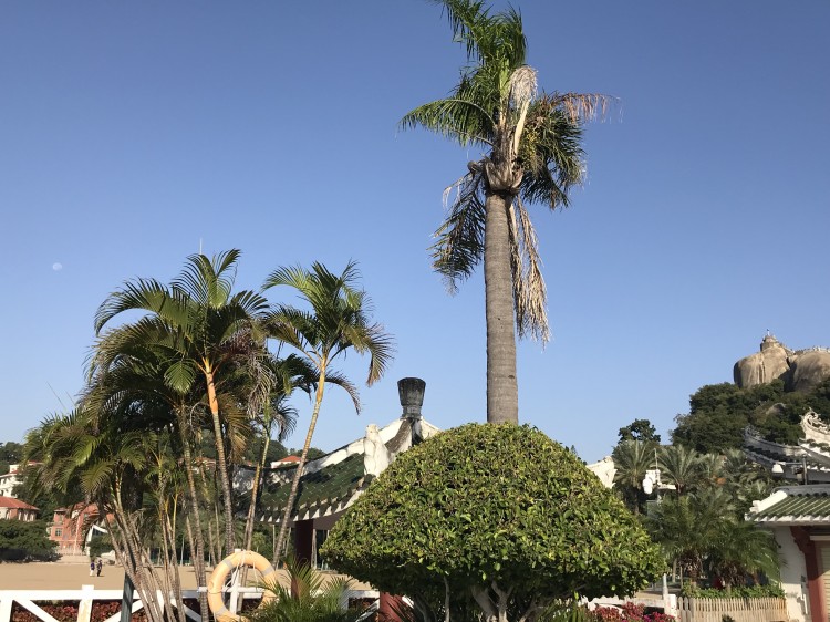 2024年春节去哪旅游好？这十个地方一定适合家庭游(图2)