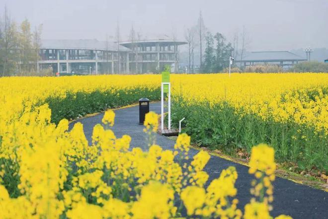 2024春日指南（上）｜3大主题27个春游目的地推荐(图13)