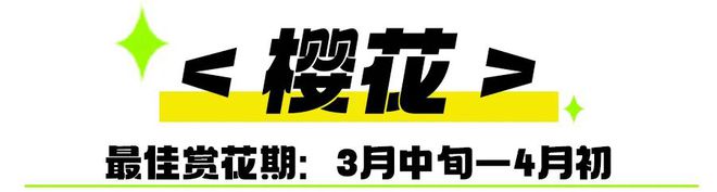 2024春日指南（上）｜3大主题27个春游目的地推荐(图15)