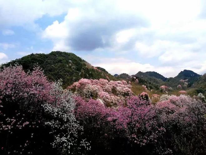 2024春日指南（上）｜3大主题27个春游目的地推荐(图26)