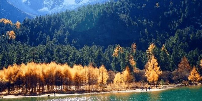 2024年四川旅游必去景点推荐—详细实用必看!附图文攻略(图2) 2024年四川旅游必去景点推荐—详细实用必看!附图文攻略(图2)