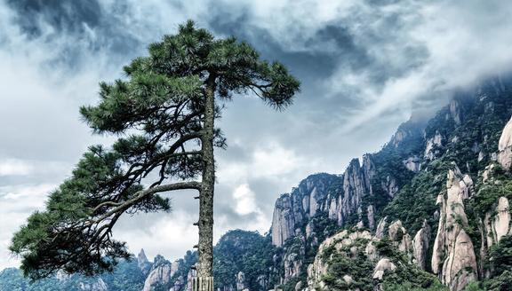 中国十大最美景点(图7)