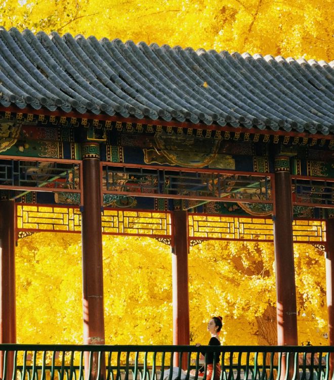 2024北京旅游指南:首次出行值得打卡的景点实用五日游攻略(图8) 2024北京旅游指南:首次出行值得打卡的景点实用五日游攻略(图8)