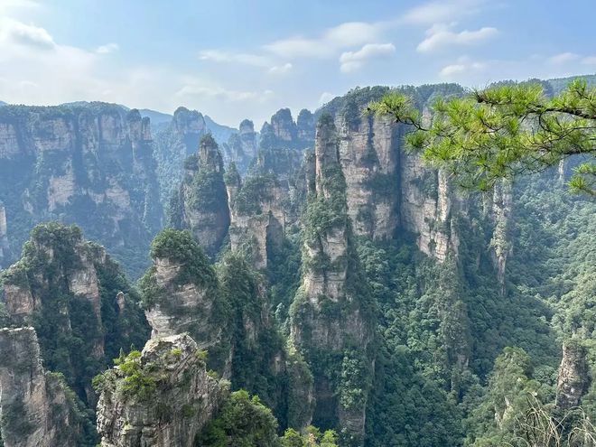 【2024超全】湖南张家界旅游攻略景点必去给大家介绍下(图2) 【2024超全】湖南张家界旅游攻略景点必去给大家介绍下(图2)